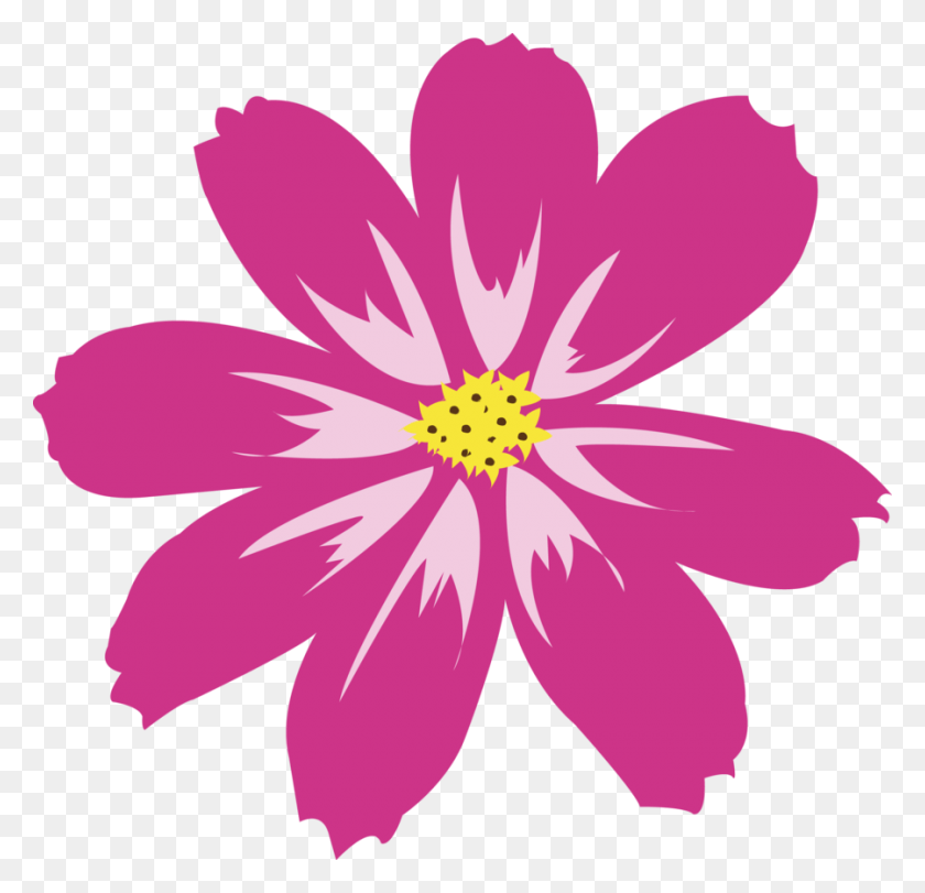 900x867 Астра Цветок Вектор Розовый, Лепесток, Растение, Цветение Hd Png Скачать