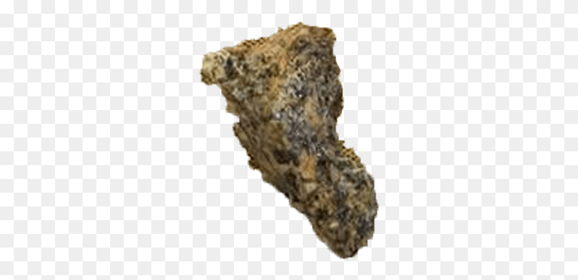 263x347 Asteroid Vesta Meteorite Igneous Rock, Panther, Wildlife, Mammal HD PNG Download