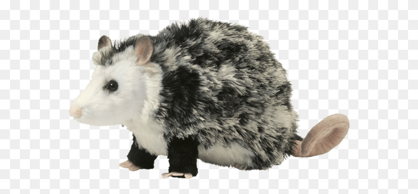 568x330 At 9 Long You Can39t Get Much Cuter Than This Ultra Possum Plush, Rodent, Mammal, Animal HD PNG Download