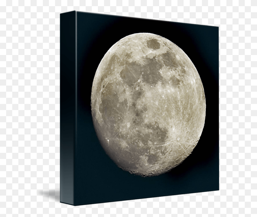 608x650 At Night By Brenda Jones Plato Moon, Outer Space, Astronomy, Outdoors HD PNG Download