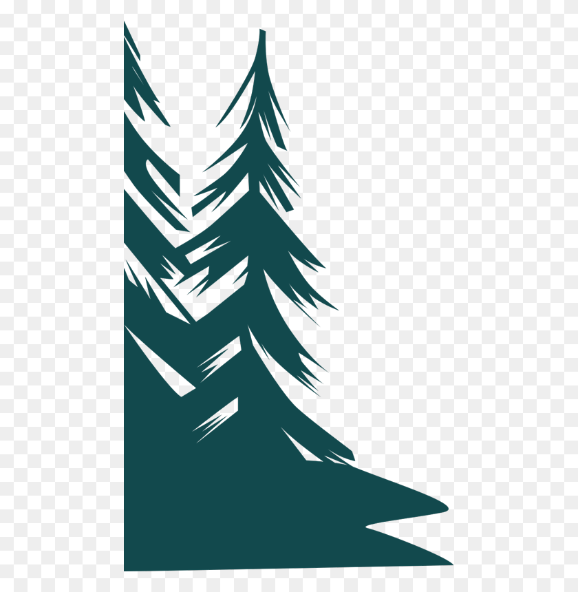 479x800 At Red Pine Camp For Girls Camp Pine Trees, Tree, Plant, Fir HD PNG Download