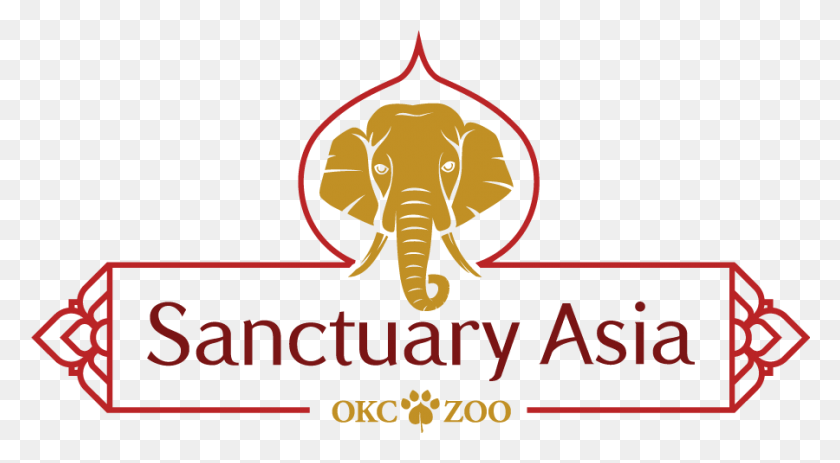 900x466 В Зоопарке Okc Go Wild В Зоопарке Okc В Азии, Млекопитающее, Животное, Слон Hd Png Скачать