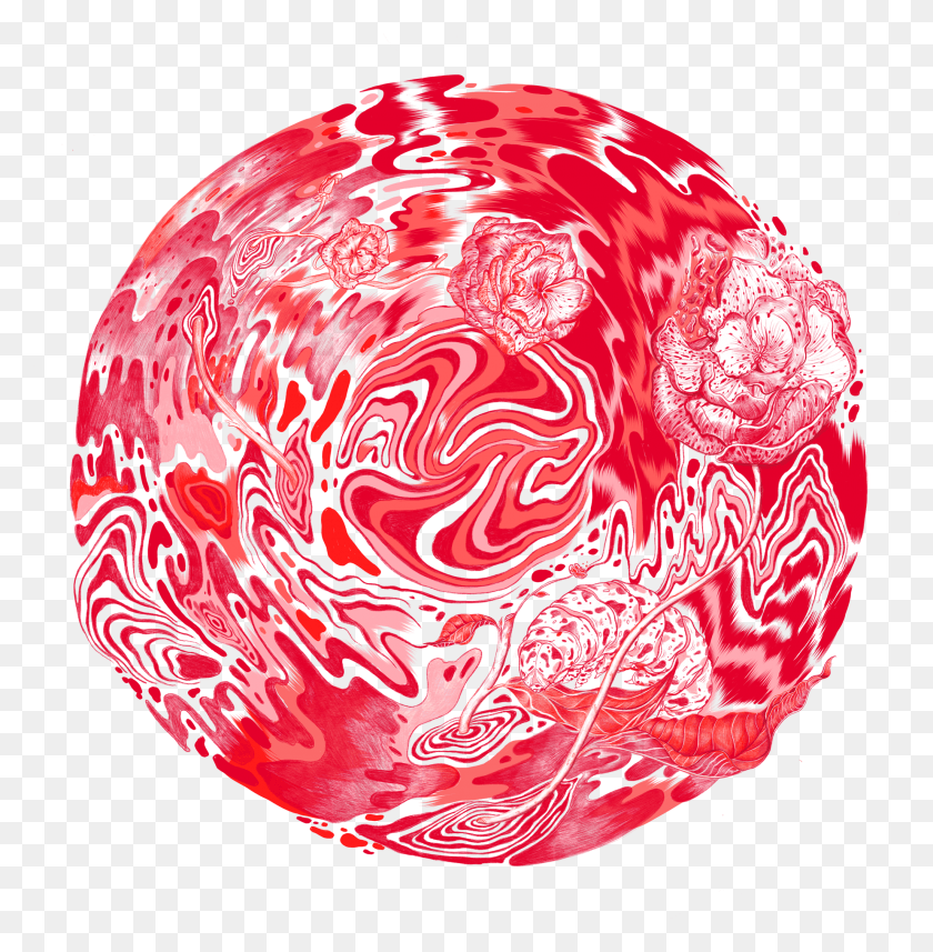 2054x2101 At The Same Time I Chose To Work With Elements That Sphere, Ornament, Pattern, Fractal HD PNG Download