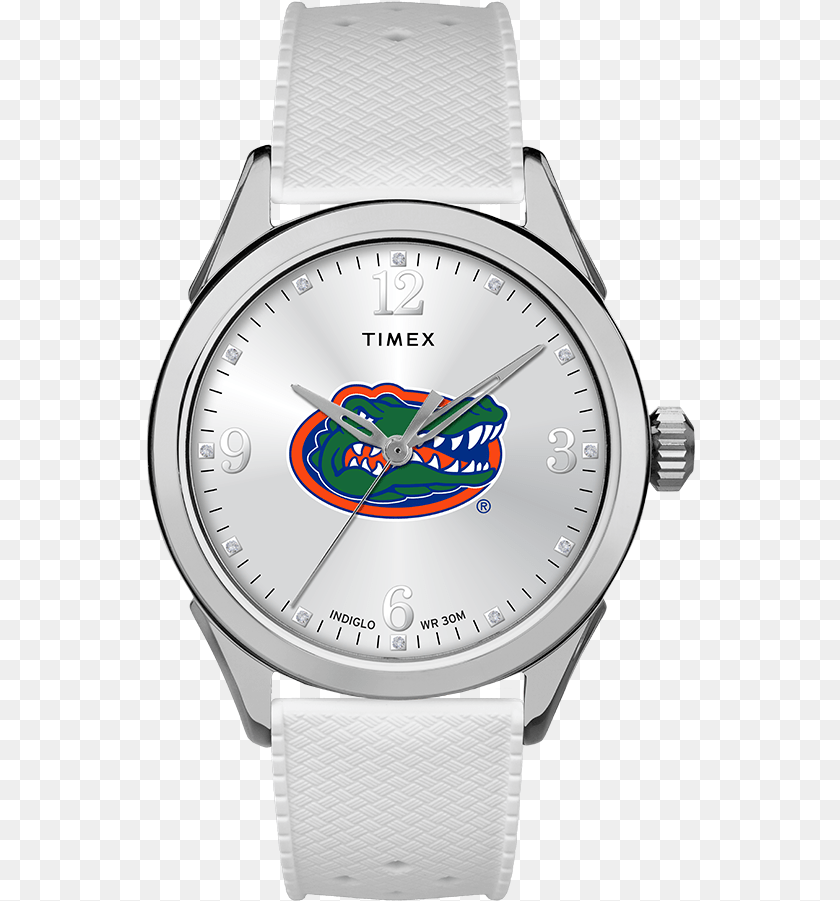 Athena Florida Gators Large University Of Florida, Arm, Body Part, Person, Wristwatch PNG