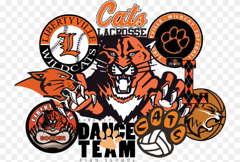 743x567 Athletic Department Plans To Restructure Logos And Core Libertyville Wildcats, Book, Comics, Publication, Advertisement PNG