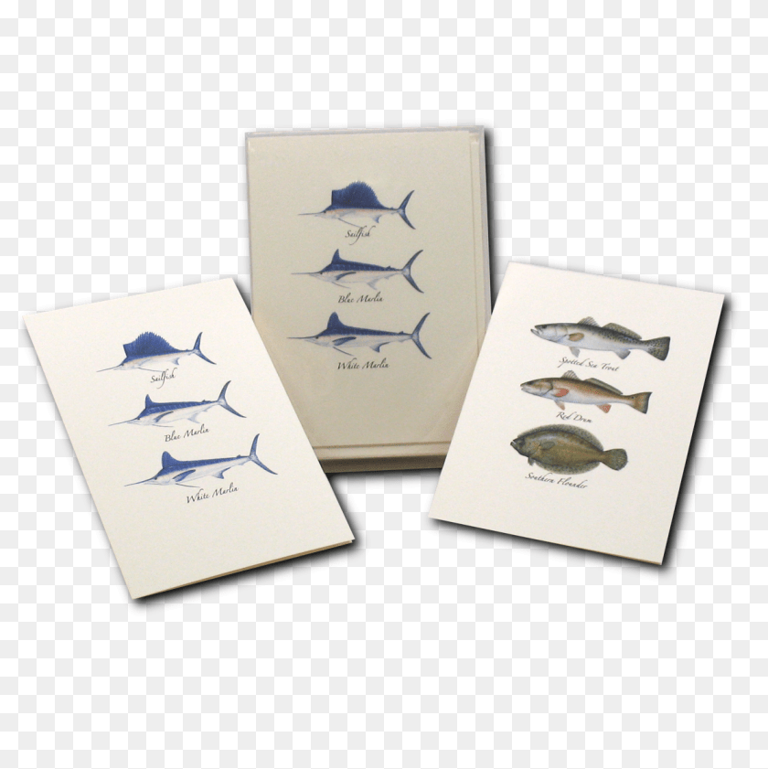 1194x1196 Atlantic Blue Marlin, Animal, Fish, Sea Life, Business Card Sticker PNG