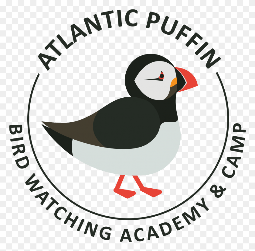 2014x1976 Atlantic Puffin, Animal, Bird, Poster HD PNG Download