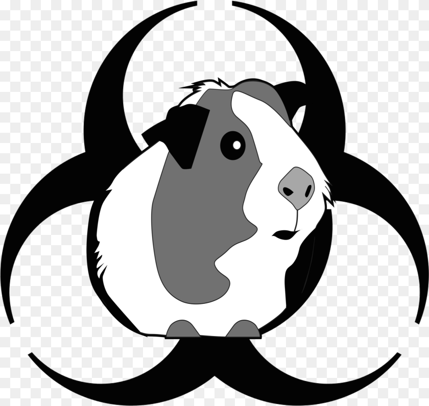 1889x1788 Attack Of The Peruvian Guinea Pig Death Flu Download Cute Guinea Pig Clipart, Stencil, Animal, Bear, Mammal Transparent PNG