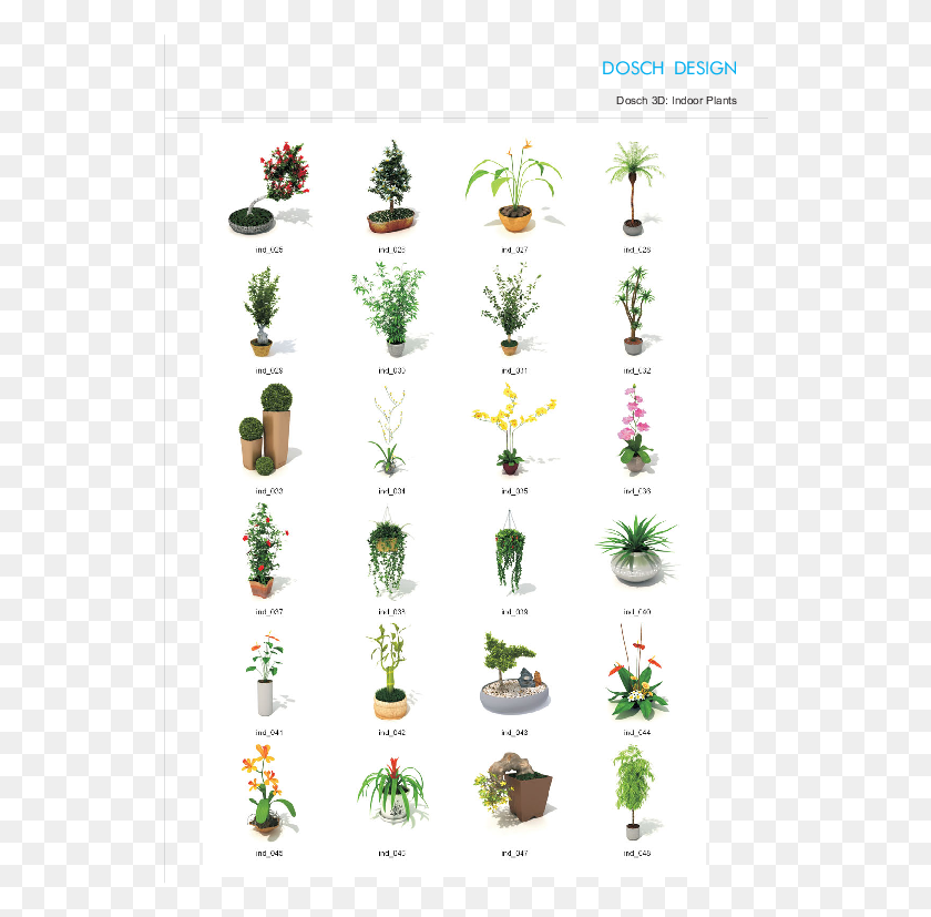 546x767 Attractive Quantity Discounts Up To 20 Are Displayed Types Of Indoor Plants, Potted Plant, Plant, Vase HD PNG Download