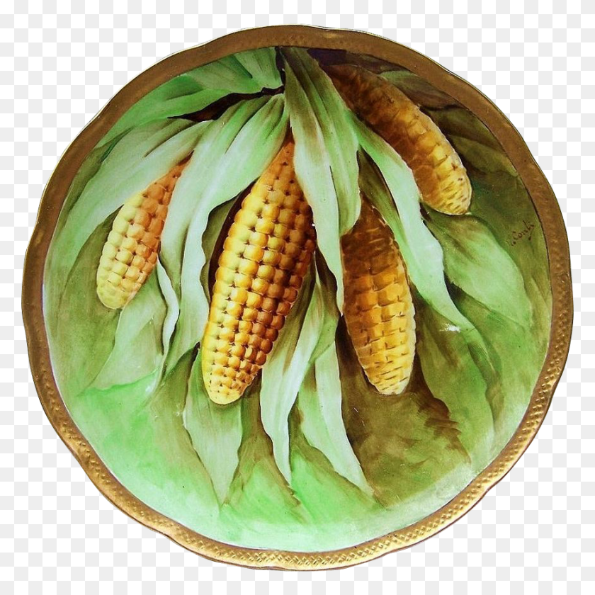 868x868 Attractive Vintage Ginori Italy 190039s 39corn Stalk39 Corn Kernels, Plant, Vegetable, Food HD PNG Download
