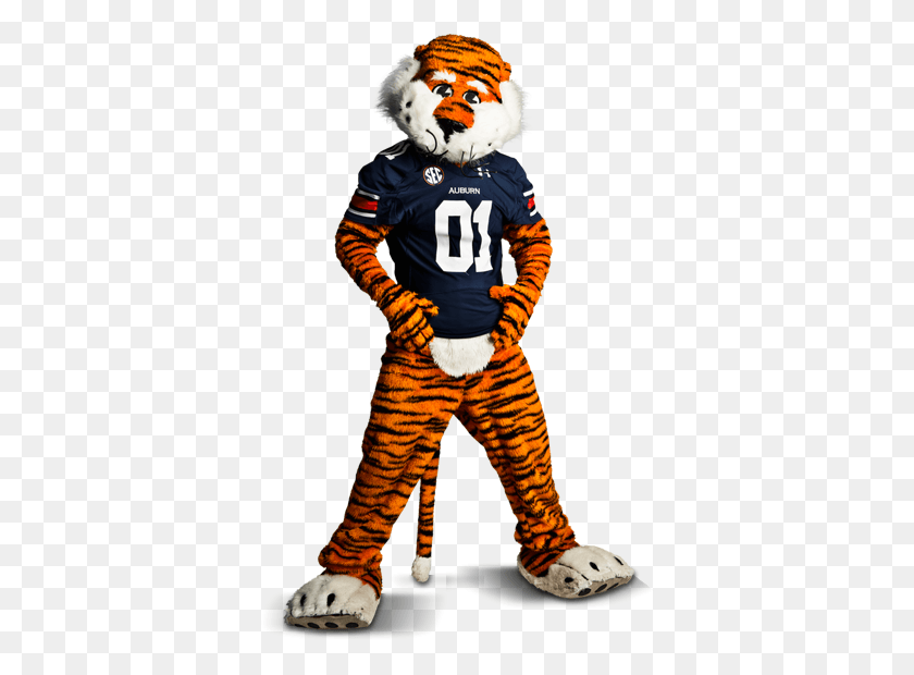 365x560 Auburn Football College Football Teams Auburn Tigers Auburn Mascot, Persona, Humano, Disfraz Hd Png