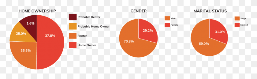 1201x306 Audience Profiles, Plot, Outdoors, Nature HD PNG Download