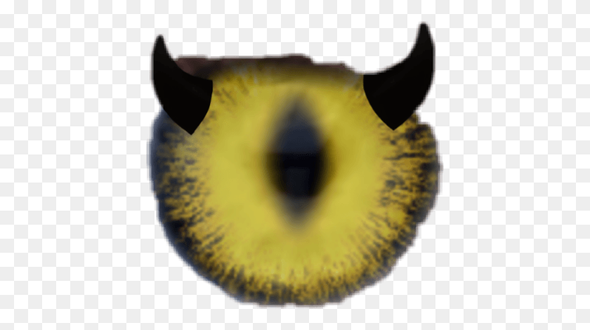 424x410 Descargar Png Augen Auge Demon Close Up, Pelota De Tenis, Planta Hd Png