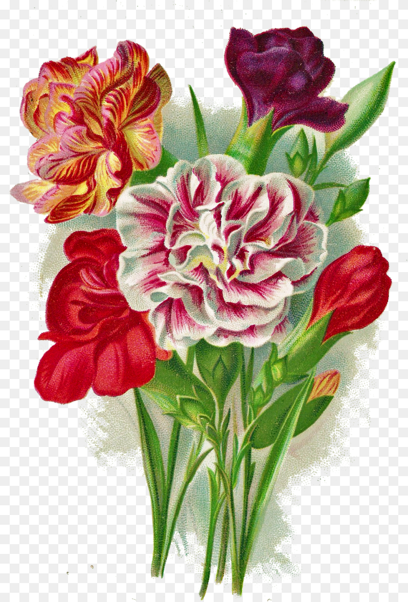 1002x1478 Auguri Di Buon Onomastico Antonio, Flower Arrangement, Plant, Dahlia, Flower Transparent PNG