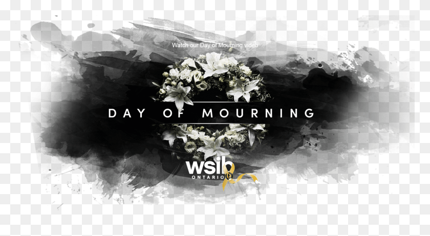 1373x708 August National Mourning Day Design, Plant, Flower, Blossom HD PNG Download