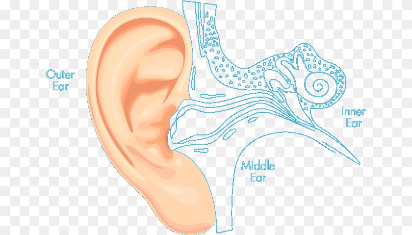 Auro Ear Drops Disease, Body Part, Adult, Female, Person Sticker PNG