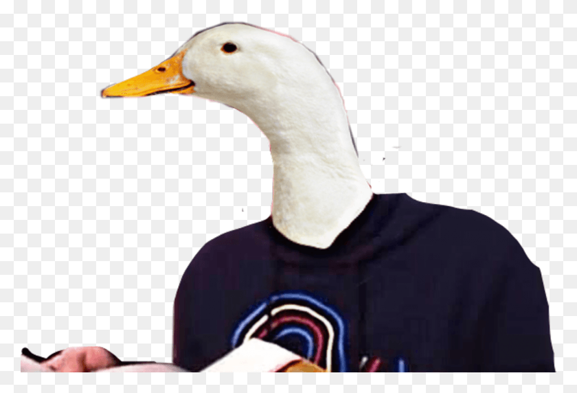 1024x673 Auronplay Ganzo Meme Freetoedit Duck, Bird, Animal, Person Hd Png Скачать