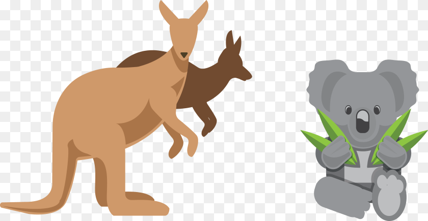 4069x2106 Australia Kangaroo Euclidean Vector Design Australian Kangaroo Clipart Koala Australia, Animal, Mammal, Bear, Wildlife Transparent PNG