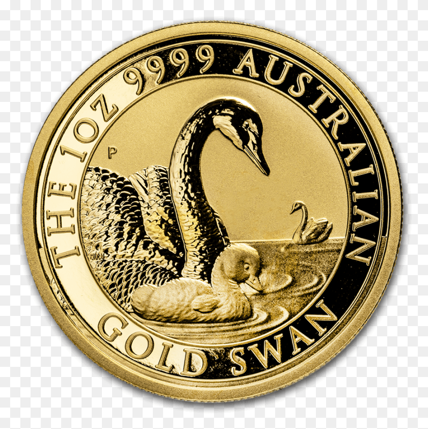 865x868 Золотая Монета Австралийский Лебедь 1 Унция 2019 Мотив Goldmnze Schwan, Деньги, Птица, Животное Hd Png Скачать