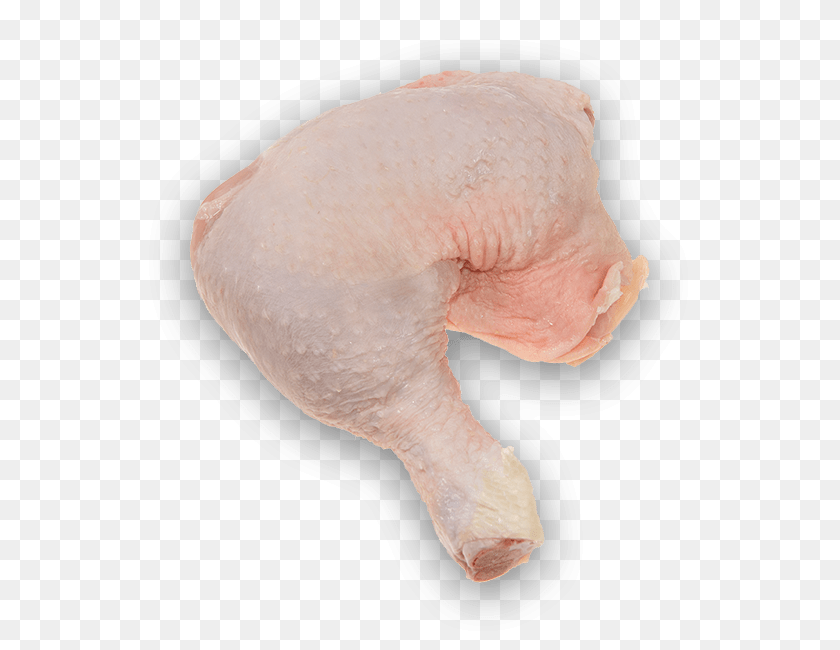 650x650 Australian Wholesale Meats, Animal, Baby, Bird, Person Clipart PNG