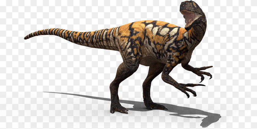 Australovenator Australovenator Zoo Tycoon, Animal, Dinosaur, Reptile, T-rex Sticker PNG