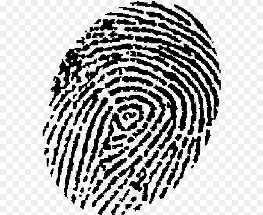 573x688 Automated Fingerprint Identification Device Fingerprint, Spiral, Sphere, Nature, Outdoors Transparent PNG