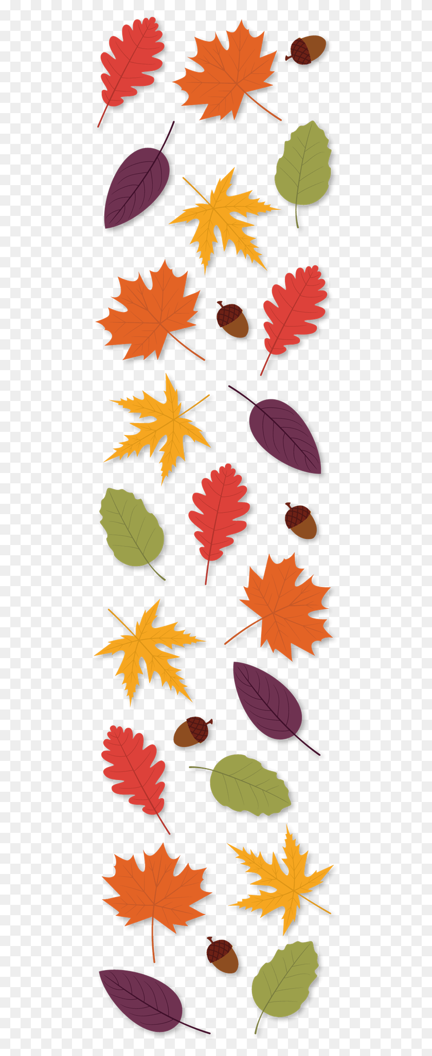 479x1994 Autumn, Leaf, Plant, Tree HD PNG Download