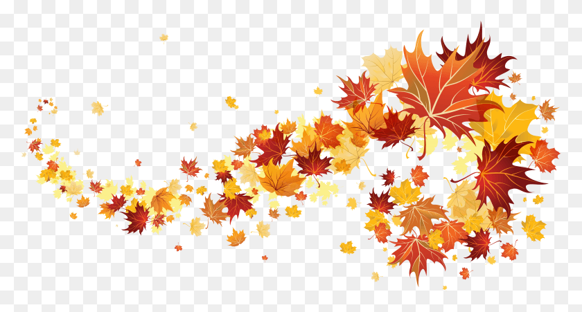 6041x3029 Осенние Картинки Осенние Листья Прозрачные, Лист, Растение, Дерево Hd Png Скачать