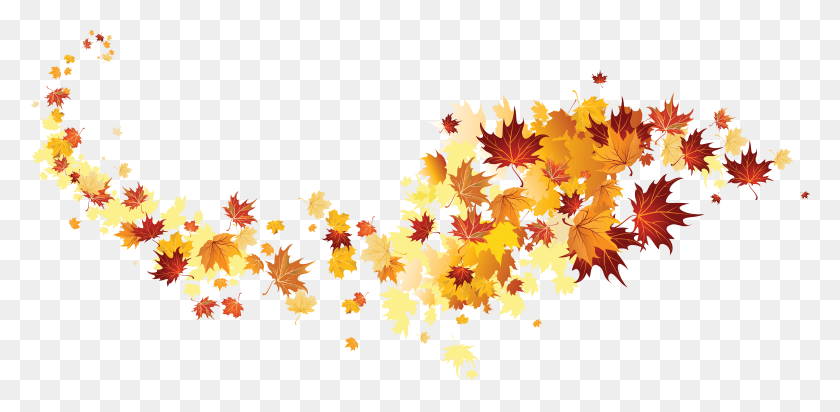 5987x2704 Осенний Цвет Листья Лист Изображение Бесплатный Клипарт Hojas Vinilo, Растение, Графика Hd Png Скачать