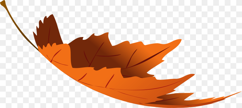 Autumn Falling Autumn Leaf Clip Art, Plant, Maple Leaf, Tree, Animal PNG