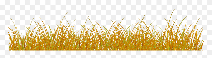 7870x1743 Autumn Grass Clipart HD PNG Download