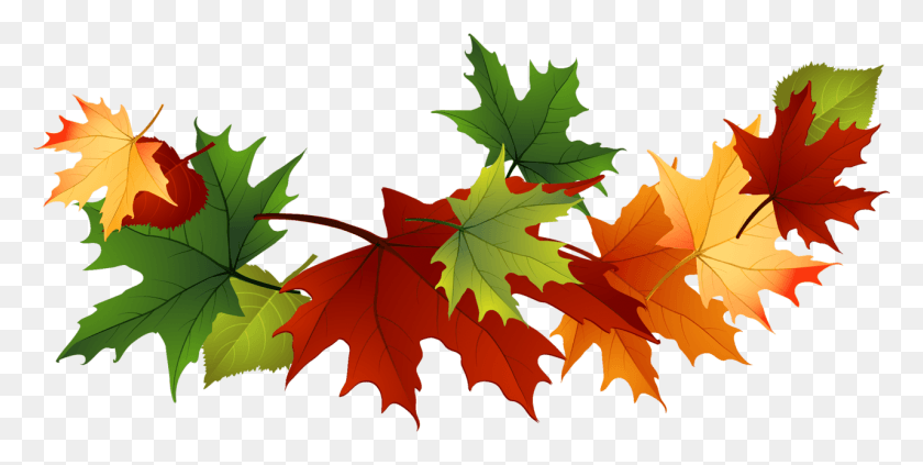 1281x597 Autumn Leaf Clipart Transparent Fall Leaves Clip Art, Plant, Tree, Maple HD PNG Download