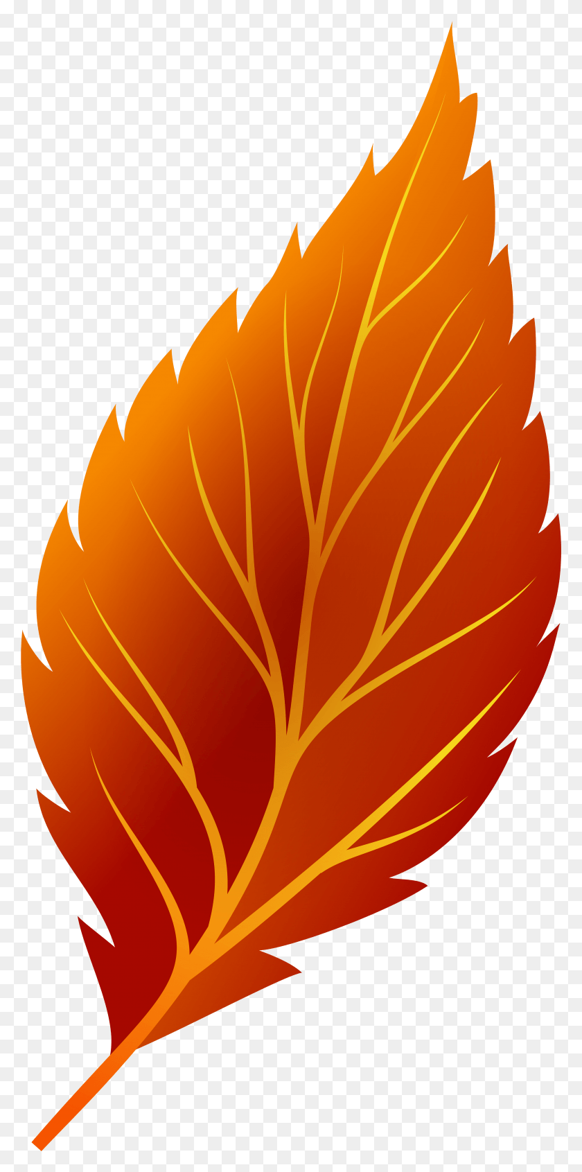 3777x7902 Autumn Leaf Color Autumn Leaf Color Clip Art Autumn Leaf Clipart, Plant, Pattern, Ornament HD PNG Download