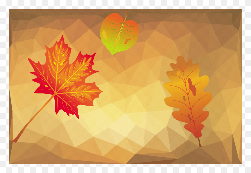 1920x1280 Autumn Leaf Polygonal Frases Del Corazn Positivas, Plant, Tree, Maple Leaf HD PNG Download