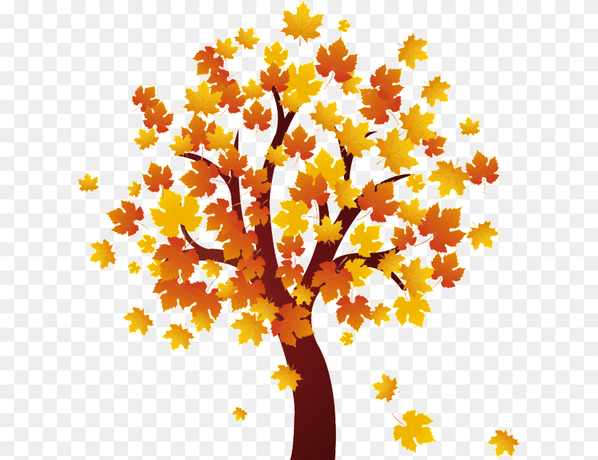 Autumn Leaves, Leaf, Maple, Plant, Tree PNG