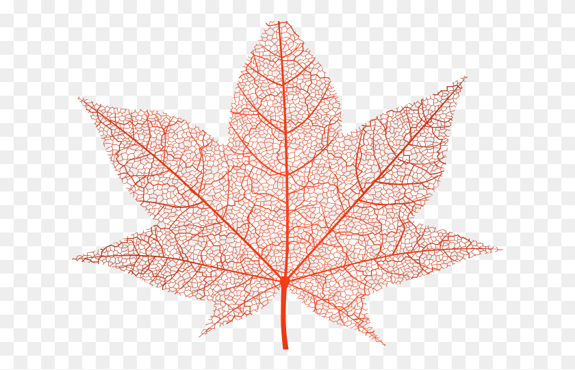 631x481 Осенние Листья Клипарт На Прозрачном Фоне Кленовый Лист, Лист, Растение, Дерево Png Скачать