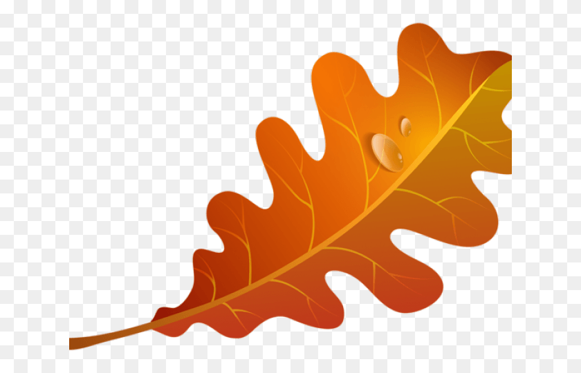 640x480 Autumn Leaves Clipart Orange Leaf Orange Fall Leaf Clip Art, Plant, Tree, Maple Leaf HD PNG Download