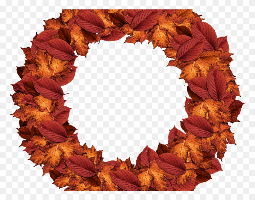 782x601 Autumn Leaves Fall Wreath Fall Wreath Transparent Background, Leaf, Plant, Maple Leaf HD PNG Download
