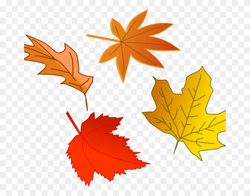 678x600 Autumn Leaves Pictures Free Leaf Autumn Free Stock Fall Leaves Illustration, Plant, Tree, Maple Leaf HD PNG Download