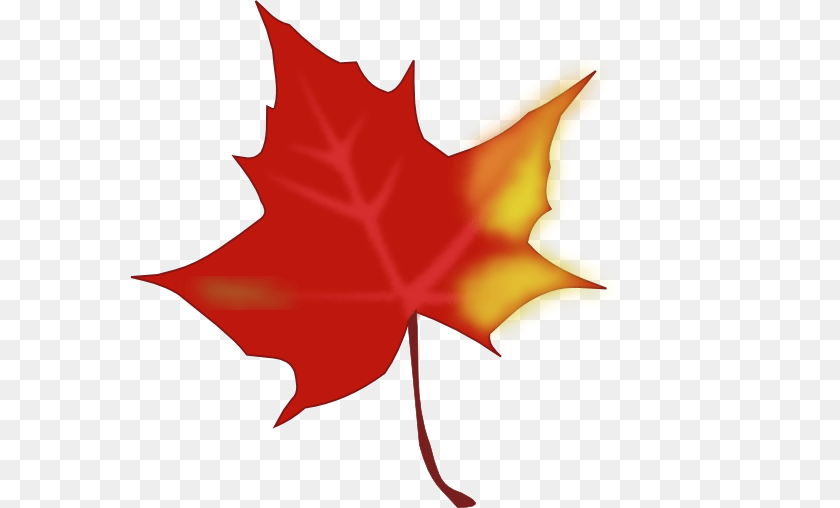 600x508 Autumn Leaves Shapes, Leaf, Maple Leaf, Plant, Tree Transparent PNG
