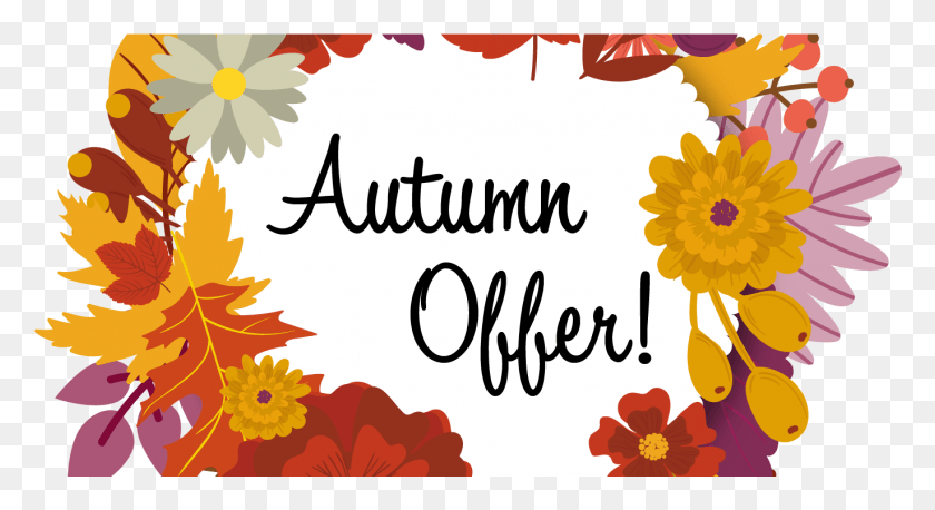 1372x701 Autumn Offer Sticker Sunflower, Label, Text, Graphics HD PNG Download