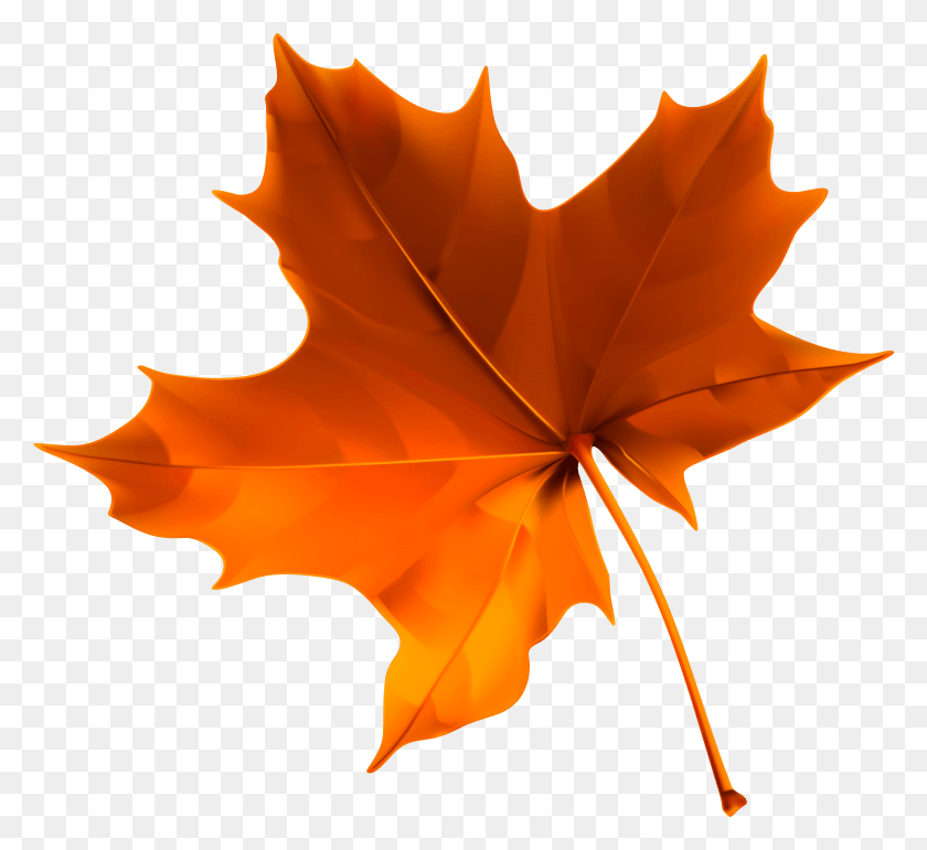 3988x3636 Autumn Red Leaf Clipart Image Clipart Autumn Leaves, Plant, Tree, Maple Leaf HD PNG Download