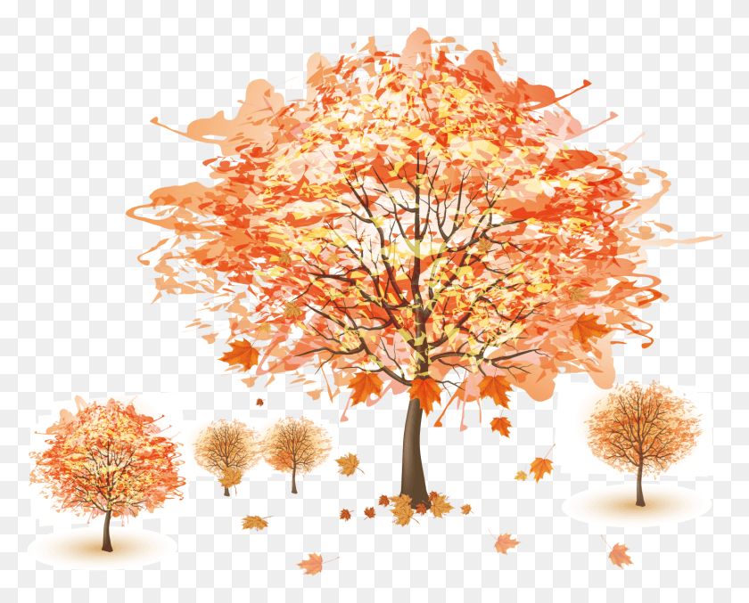 1477x1170 Осеннее Дерево Royalty Free Fall Wallpaper Mac Cute, Plant, Maple, Chandelier Hd Png Download