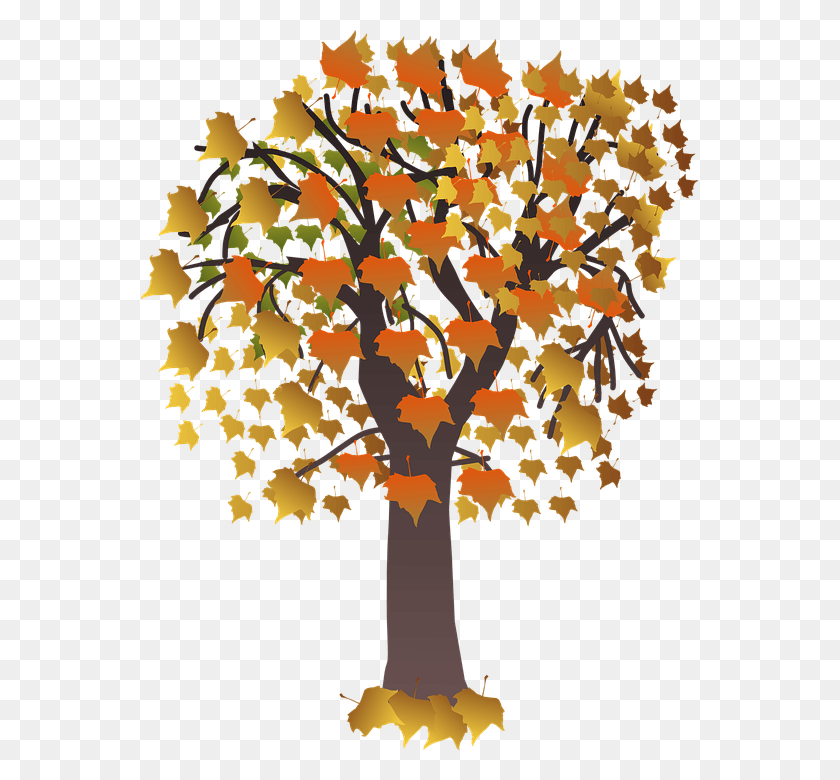 557x720 Png Осенние Деревья
