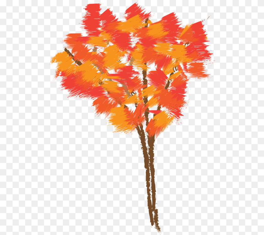 531x750 Autumnplantleaf Clipart Royalty Free Svg Color Drawing Tree Autumn, Leaf, Maple, Plant, Person Transparent PNG