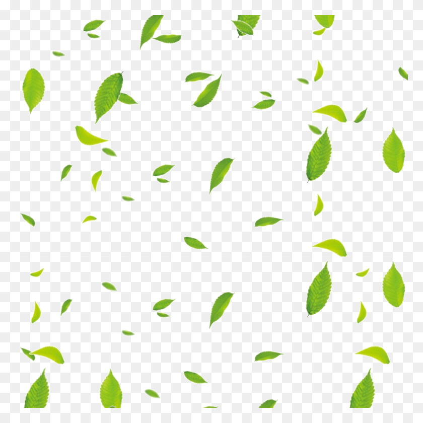 1024x1024 Available In Format Floating Leaves, Paper, Confetti, Rug HD PNG Download