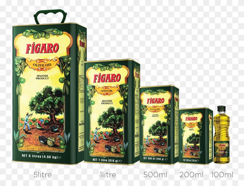 762x580 Available Range 1 Litre Figaro Olive Oil, Book, Plant, Potted Plant HD PNG Download