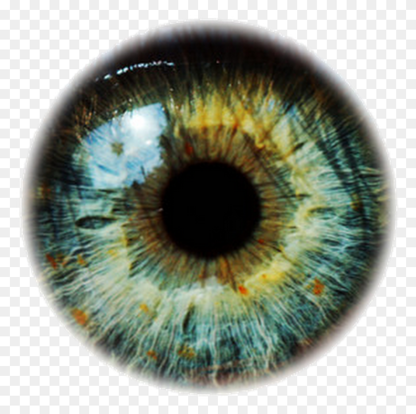 891x888 Аватан Зеленые Глаза Прозрачный Фон, Фотография, Орнамент Hd Png Скачать