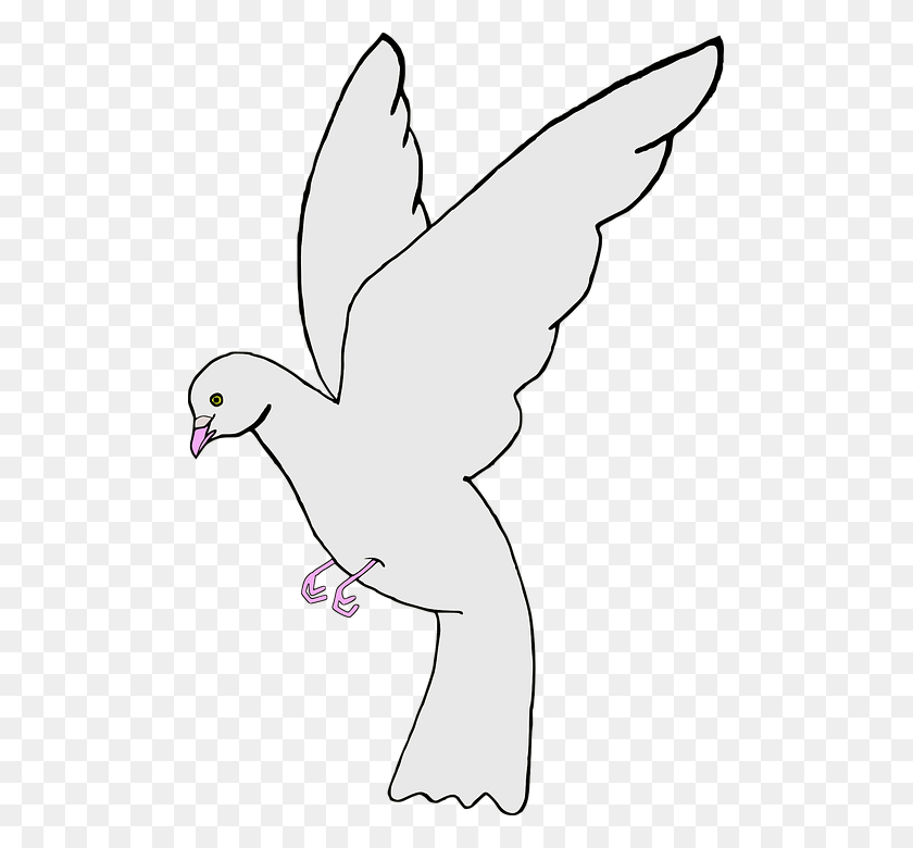 493x720 Ave Bird Paloma Pigeon White Burung Merpati Putih Animasi, Animal, Dove, Flying HD PNG Download