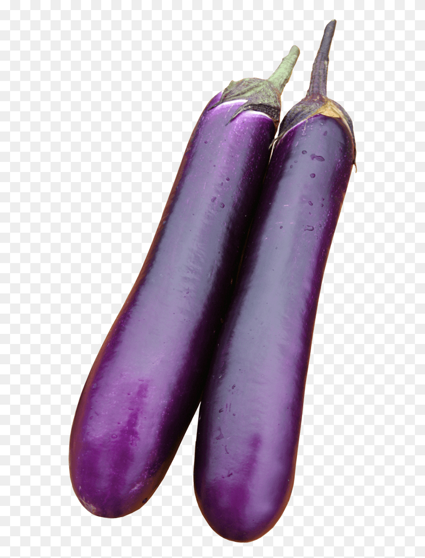 588x1043 Average Fruit Length Abouth 35 40cm Sets Endurance Eggplant, Plant, Vegetable, Food HD PNG Download